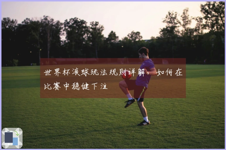 世界杯滚球玩法规则详解，如何在比赛中稳健下注