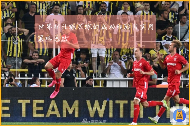 世界杯让球买球的成功经验与实用策略总结