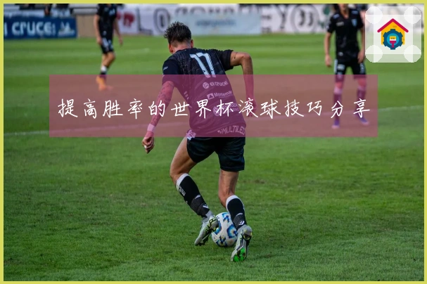 提高胜率的世界杯滚球技巧分享