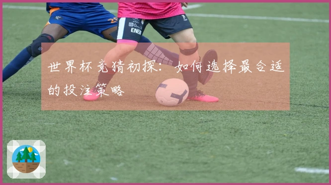 世界杯竞猜初探：如何选择最合适的投注策略