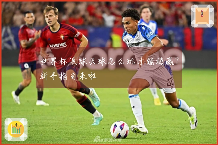 世界杯滚球买球怎么玩才能稳赢？新手指南来啦