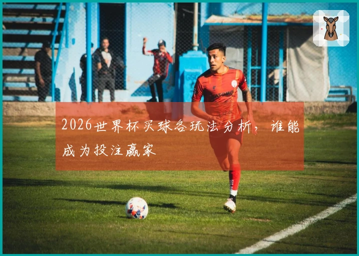 2026世界杯买球各玩法分析，谁能成为投注赢家